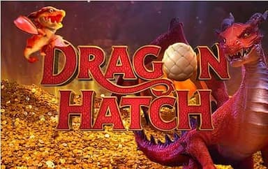 Dragon Hatch