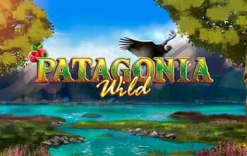 Patagonia Wilds
